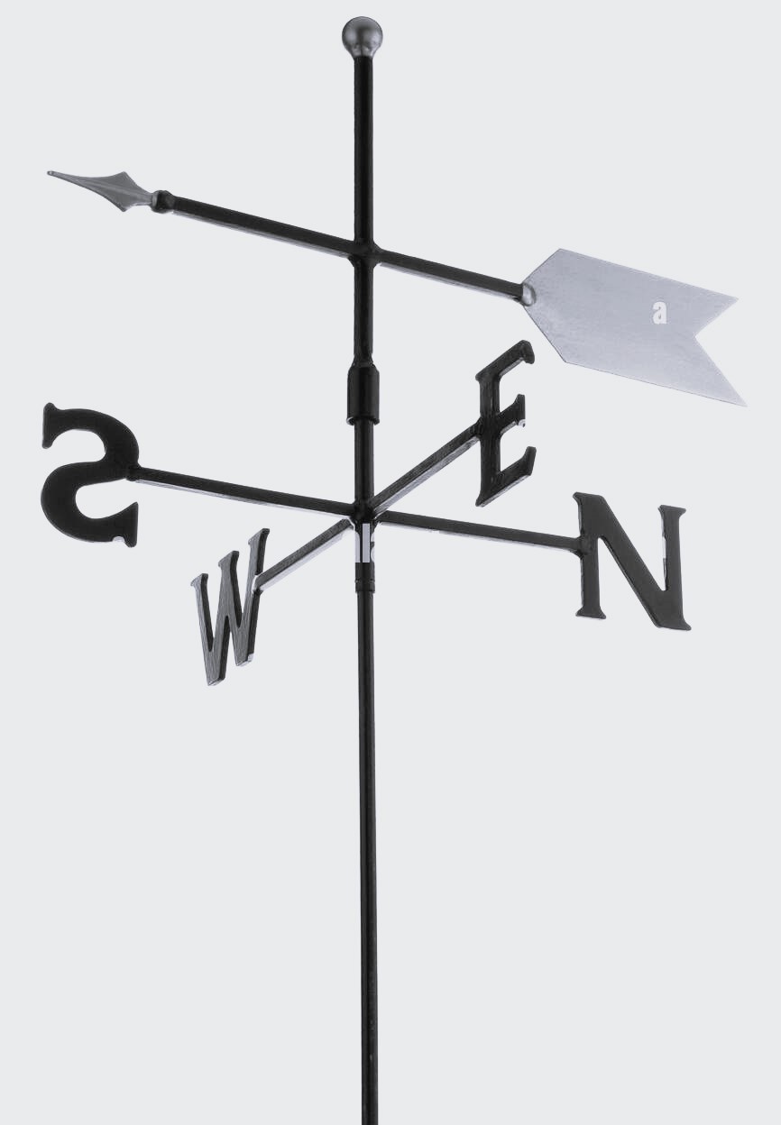 Ecological concept, Ecological factors, their effects on the ecosystem