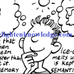The science of human memories (1)