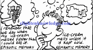The science of human memories (1)