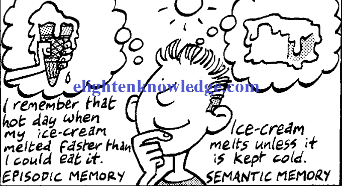 The science of human memories (1)