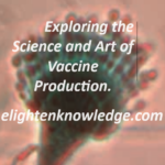 The Science and Art of Making Vaccines