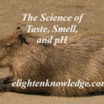 The Science of Taste, Smell, and pH