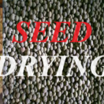 Seed drying