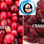 CRANBERRIES