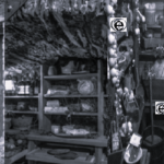 root cellar 1