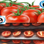 tomatoes