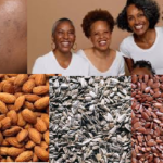 seeds and nuts