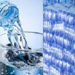 Eight Ways to Stay Hydrated if You Hate Drinking Water.