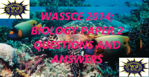 WAECE PAST QUESTION