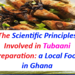 How To Prepare Tubaani, a Local Food in Ghana (West Africa), and the Scientific Principles Involved