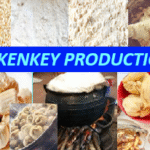 How Kenkey is produced in Ghana (West Africa) and the scientific processes involved.